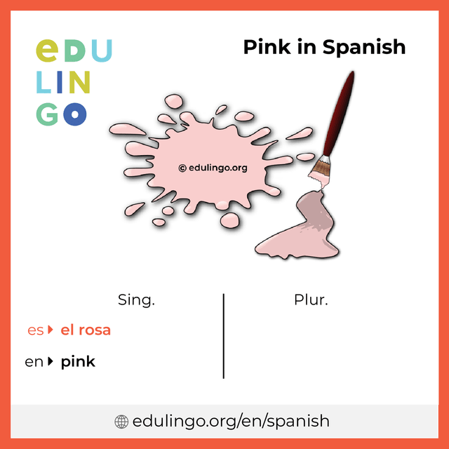 Pink in Spanish vocabulary picture with singular and plural for download and printing