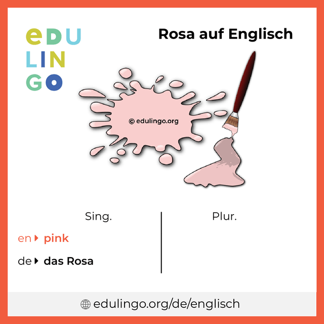 Rosa auf Englisch Vokabelbild mit Singular und Plural zum Herunterladen und Ausdrucken