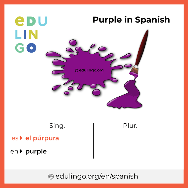 Purple in Spanish vocabulary picture with singular and plural for download and printing