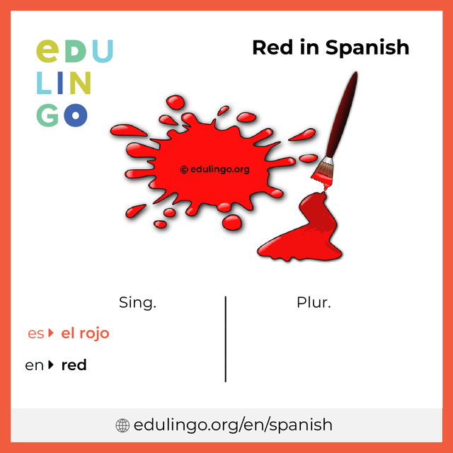 Red in Spanish vocabulary picture with singular and plural for download and printing