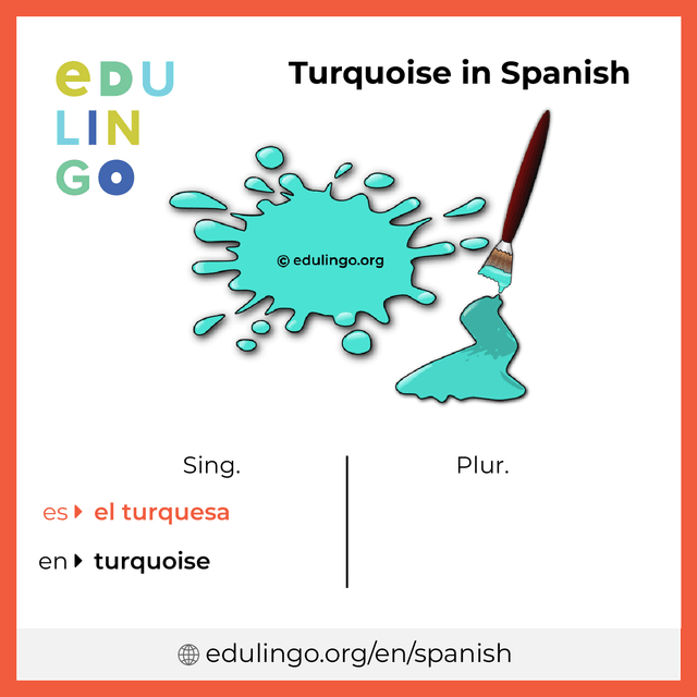 Turquoise in Spanish vocabulary picture with singular and plural for download and printing