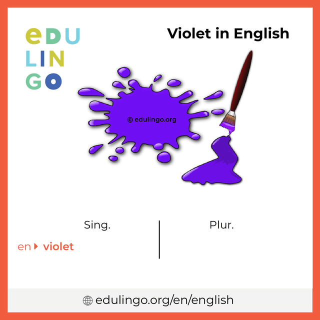 Violet in English vocabulary picture with singular and plural for download and printing