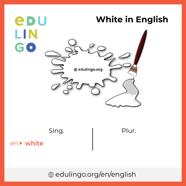 White in English vocabulary picture with singular and plural for download and printing