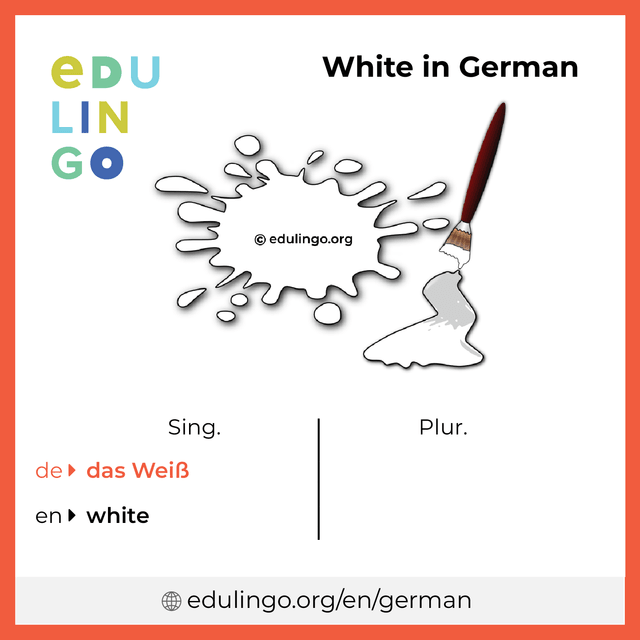 White in German vocabulary picture with singular and plural for download and printing