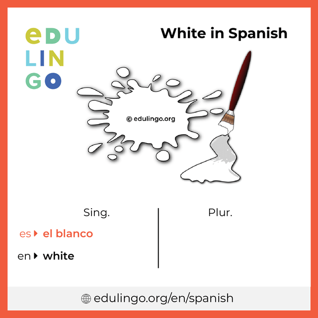 White in Spanish vocabulary picture with singular and plural for download and printing