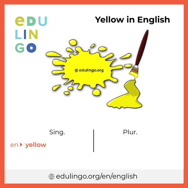 Yellow in English vocabulary picture with singular and plural for download and printing
