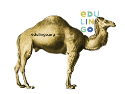 Thumbnail: Camel in English