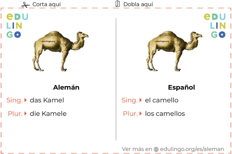Ficha de Vocabulario Camello en alemán para imprimir, practicar y aprender