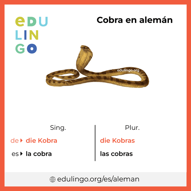Imagen de vocabulario Cobra en alemán con singular y plural para descargar e imprimir