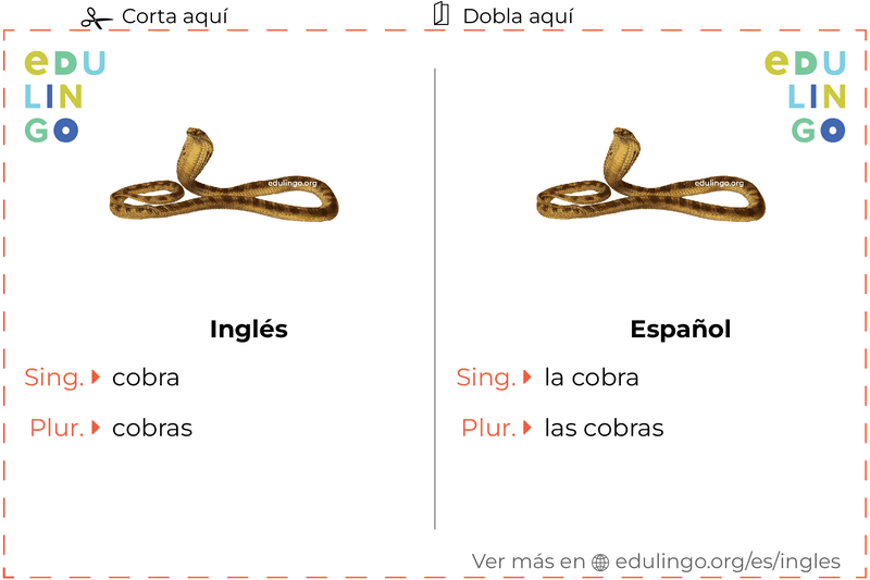 Ficha de Vocabulario Cobra en inglés para imprimir, practicar y aprender