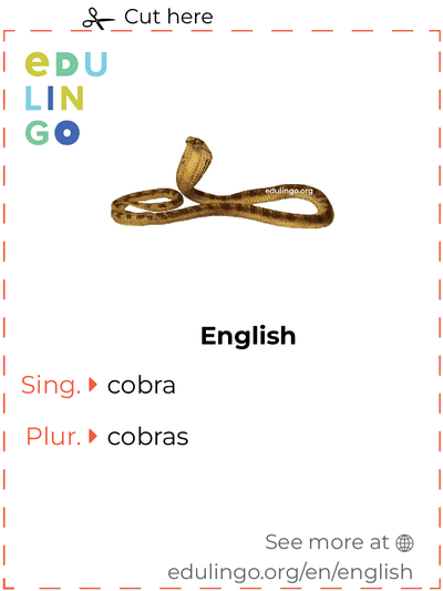 Cobra in English vocabulary flashcard for printing, practicing and learning