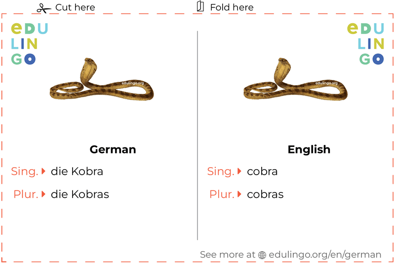 Cobra in German vocabulary flashcard for printing, practicing and learning