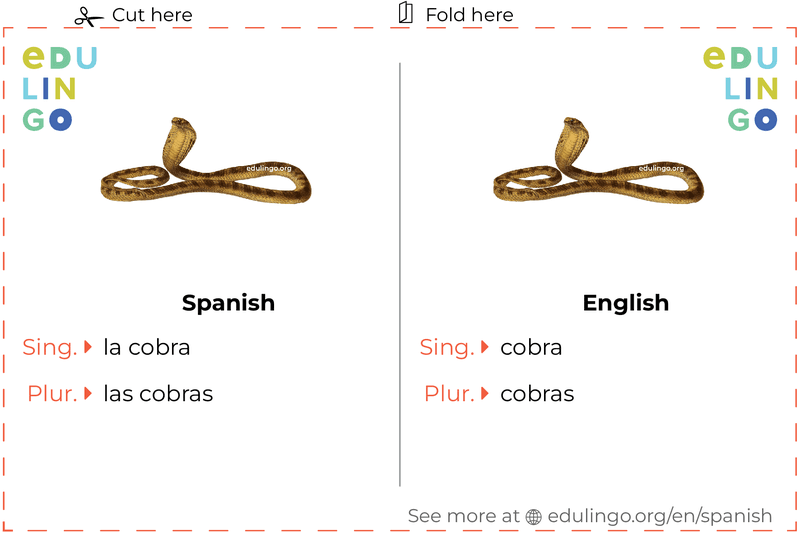 Cobra in Spanish vocabulary flashcard for printing, practicing and learning