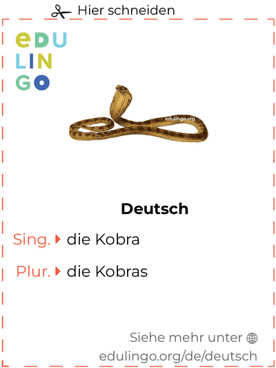 Kobra auf Deutsch Vokabelkartei zum Ausdrucken, Üben und Lernen