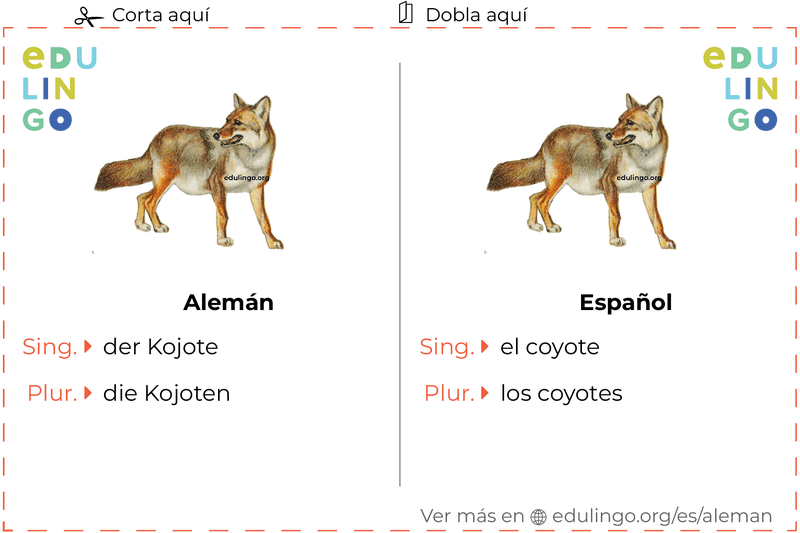 Ficha de Vocabulario Coyote en alemán para imprimir, practicar y aprender