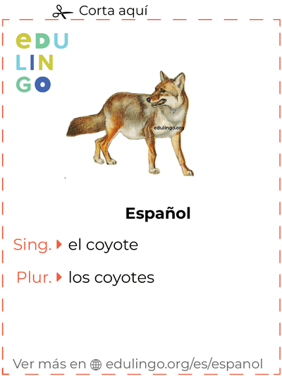 Ficha de Vocabulario Coyote en español para imprimir, practicar y aprender
