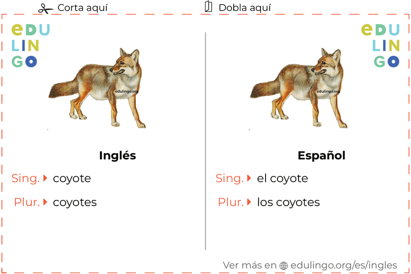 Ficha de Vocabulario Coyote en inglés para imprimir, practicar y aprender