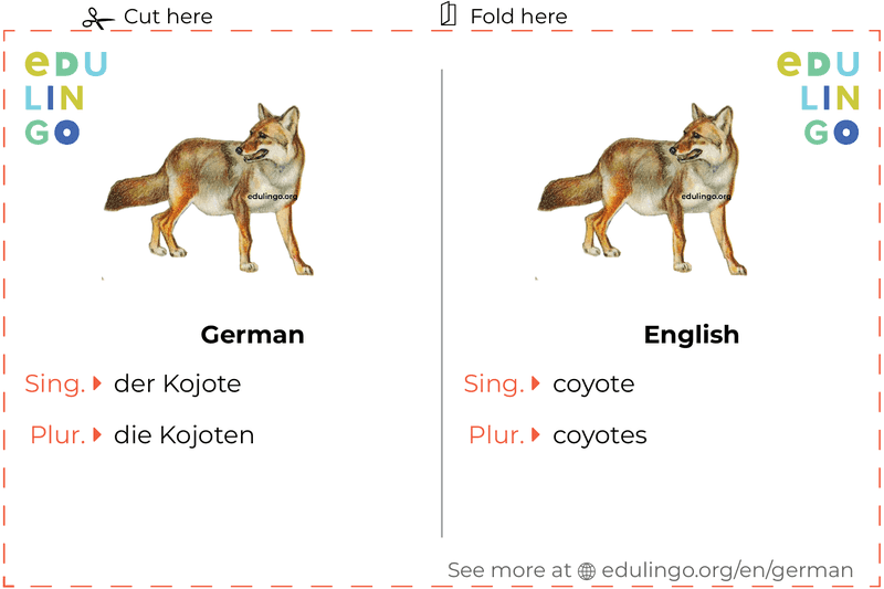 Coyote in German vocabulary flashcard for printing, practicing and learning