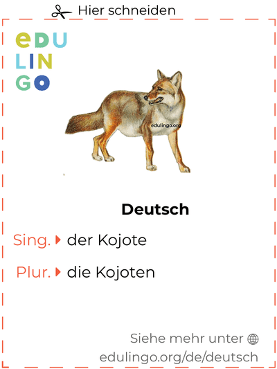 Kojote auf Deutsch Vokabelkartei zum Ausdrucken, Üben und Lernen