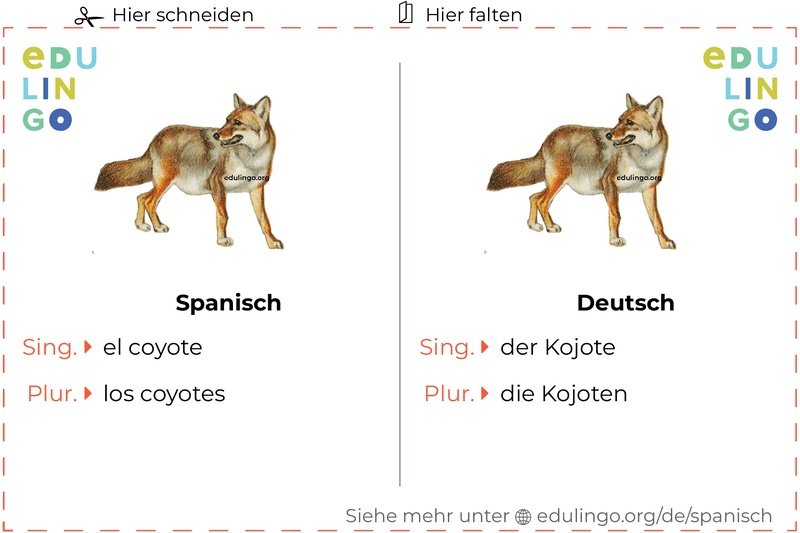 Kojote auf Spanisch Vokabelkartei zum Ausdrucken, Üben und Lernen