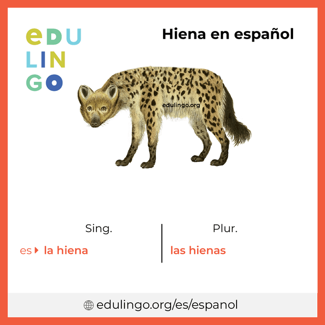 Imagen de vocabulario Hiena en español con singular y plural para descargar e imprimir