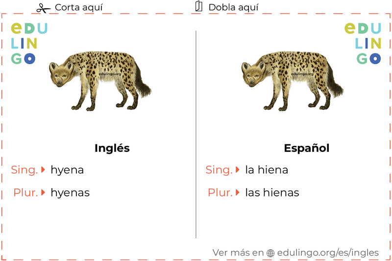 Ficha de Vocabulario Hiena en inglés para imprimir, practicar y aprender