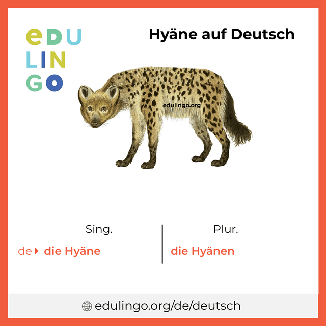 Hyäne auf Deutsch Vokabelbild mit Singular und Plural zum Herunterladen und Ausdrucken