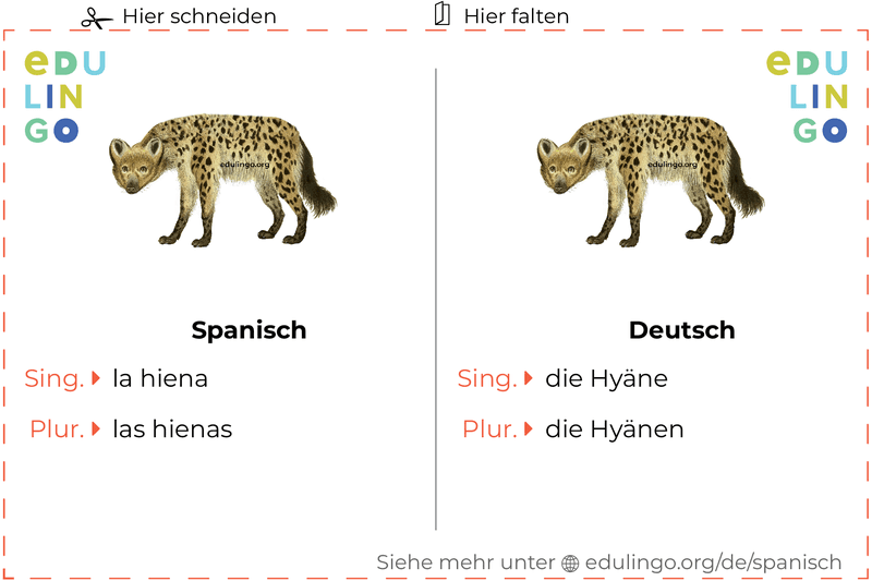 Hyäne auf Spanisch Vokabelkartei zum Ausdrucken, Üben und Lernen