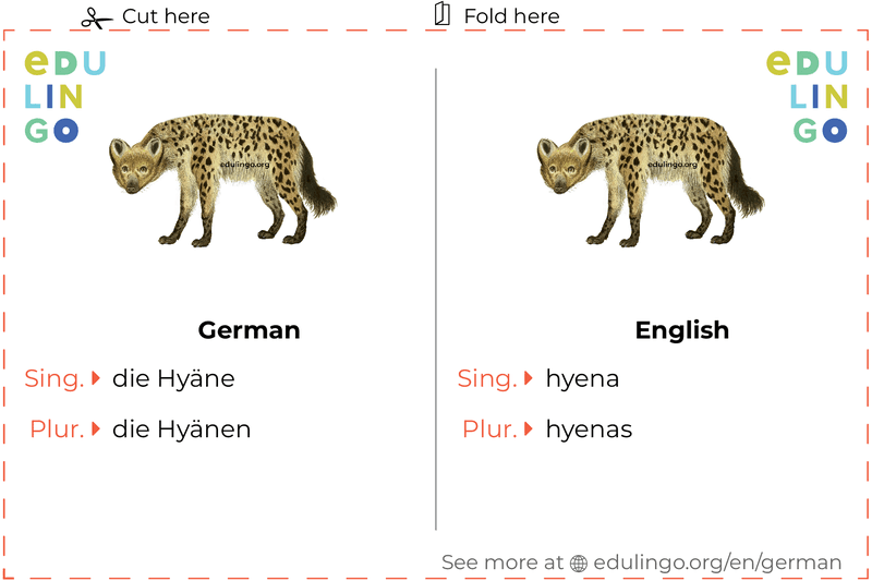 Hyena in German vocabulary flashcard for printing, practicing and learning