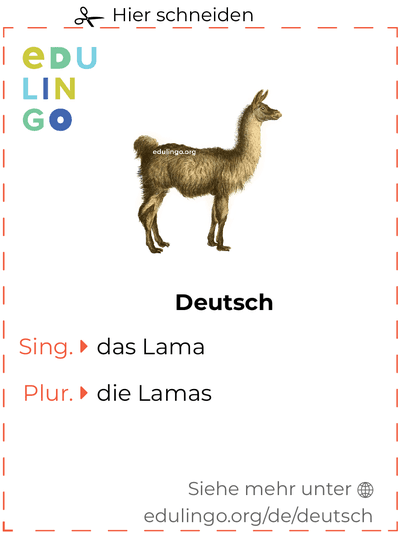 Lama auf Deutsch Vokabelkartei zum Ausdrucken, Üben und Lernen