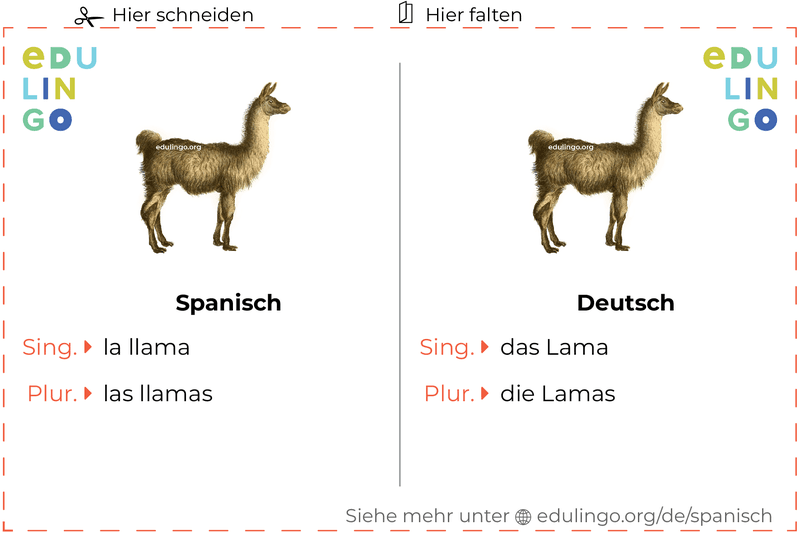 Lama auf Spanisch Vokabelkartei zum Ausdrucken, Üben und Lernen