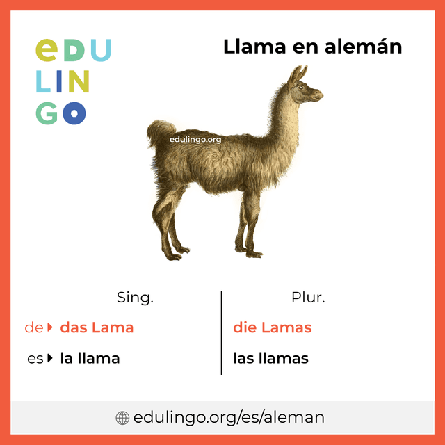 Imagen de vocabulario Llama en alemán con singular y plural para descargar e imprimir
