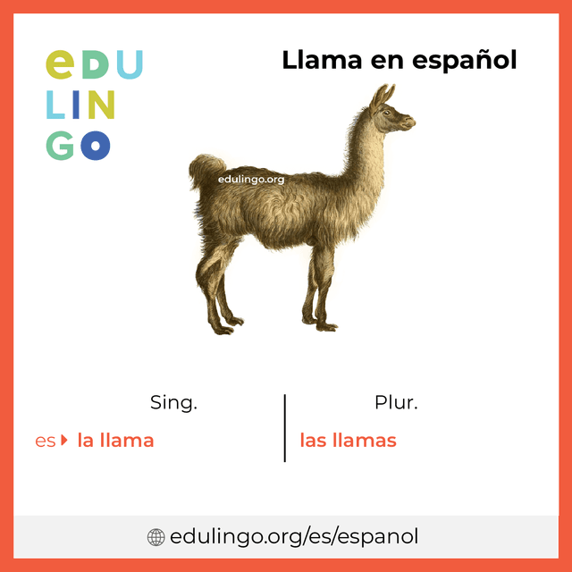 Imagen de vocabulario Llama en español con singular y plural para descargar e imprimir