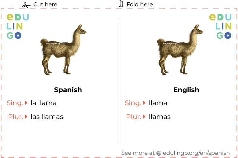 Llama in Spanish vocabulary flashcard for printing, practicing and learning