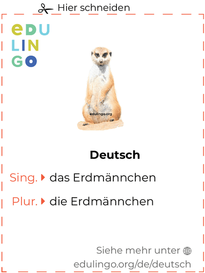 Erdmännchen auf Deutsch Vokabelkartei zum Ausdrucken, Üben und Lernen