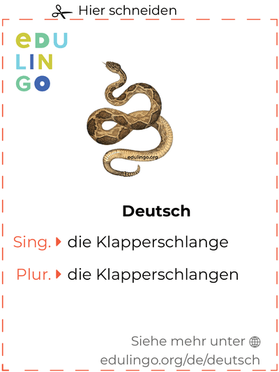 Klapperschlange auf Deutsch Vokabelkartei zum Ausdrucken, Üben und Lernen