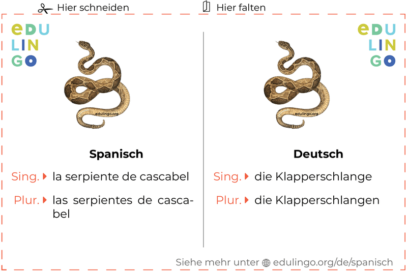 Klapperschlange auf Spanisch Vokabelkartei zum Ausdrucken, Üben und Lernen