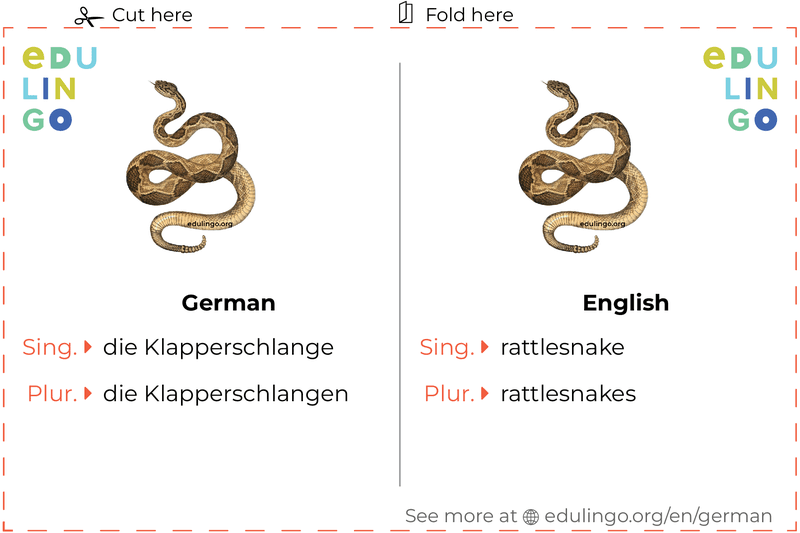 Rattlesnake in German vocabulary flashcard for printing, practicing and learning
