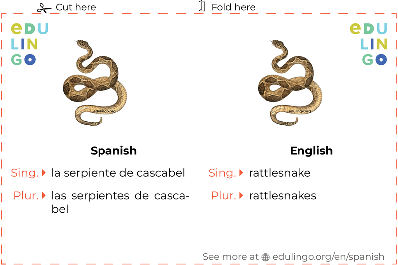 Rattlesnake in Spanish vocabulary flashcard for printing, practicing and learning
