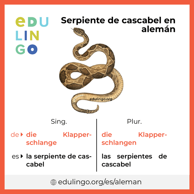 Imagen de vocabulario Serpiente de cascabel en alemán con singular y plural para descargar e imprimir