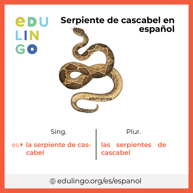 Imagen de vocabulario Serpiente de cascabel en español con singular y plural para descargar e imprimir