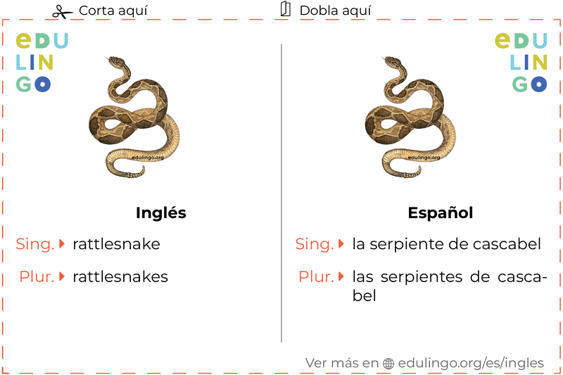 Ficha de Vocabulario Serpiente de cascabel en inglés para imprimir, practicar y aprender