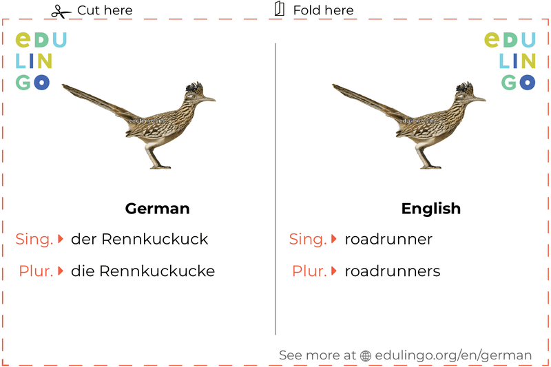 Roadrunner in German vocabulary flashcard for printing, practicing and learning