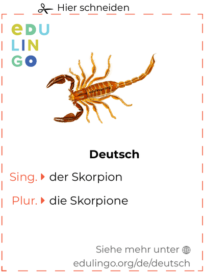 Skorpion auf Deutsch Vokabelkartei zum Ausdrucken, Üben und Lernen