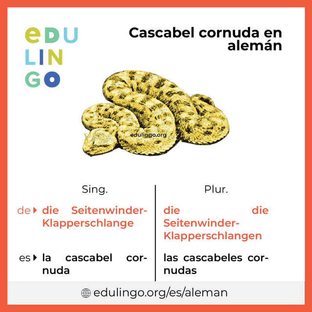 Imagen de vocabulario Cascabel cornuda en alemán con singular y plural para descargar e imprimir