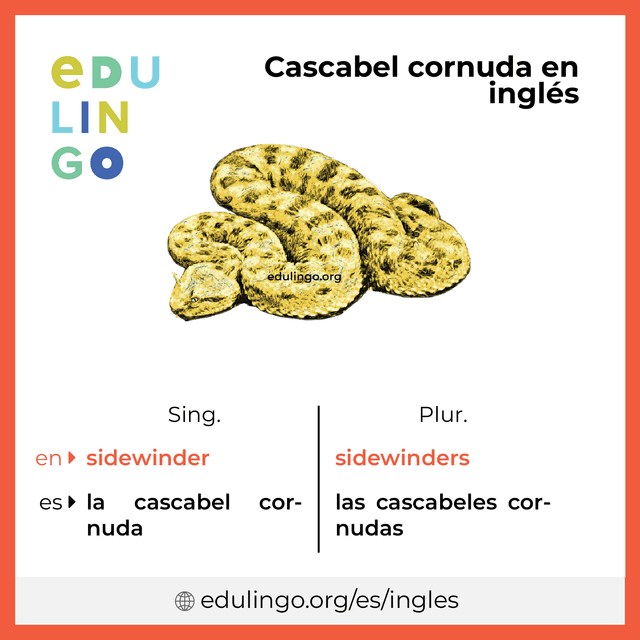 Imagen de vocabulario Cascabel cornuda en inglés con singular y plural para descargar e imprimir