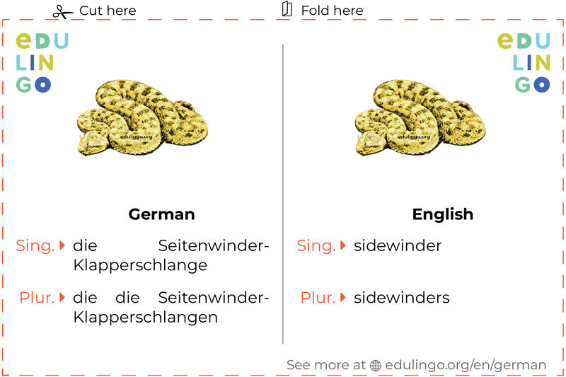 Sidewinder in German vocabulary flashcard for printing, practicing and learning