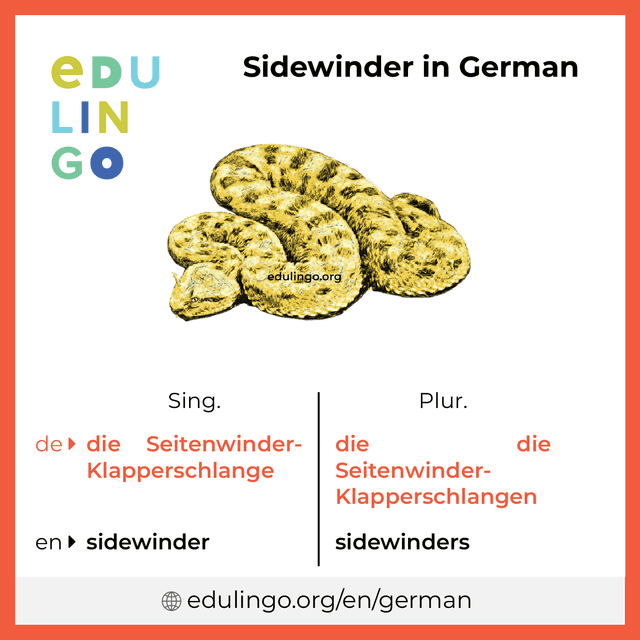 Sidewinder in German vocabulary picture with singular and plural for download and printing