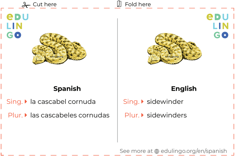 Sidewinder in Spanish vocabulary flashcard for printing, practicing and learning