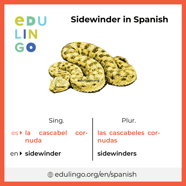 Sidewinder in Spanish vocabulary picture with singular and plural for download and printing